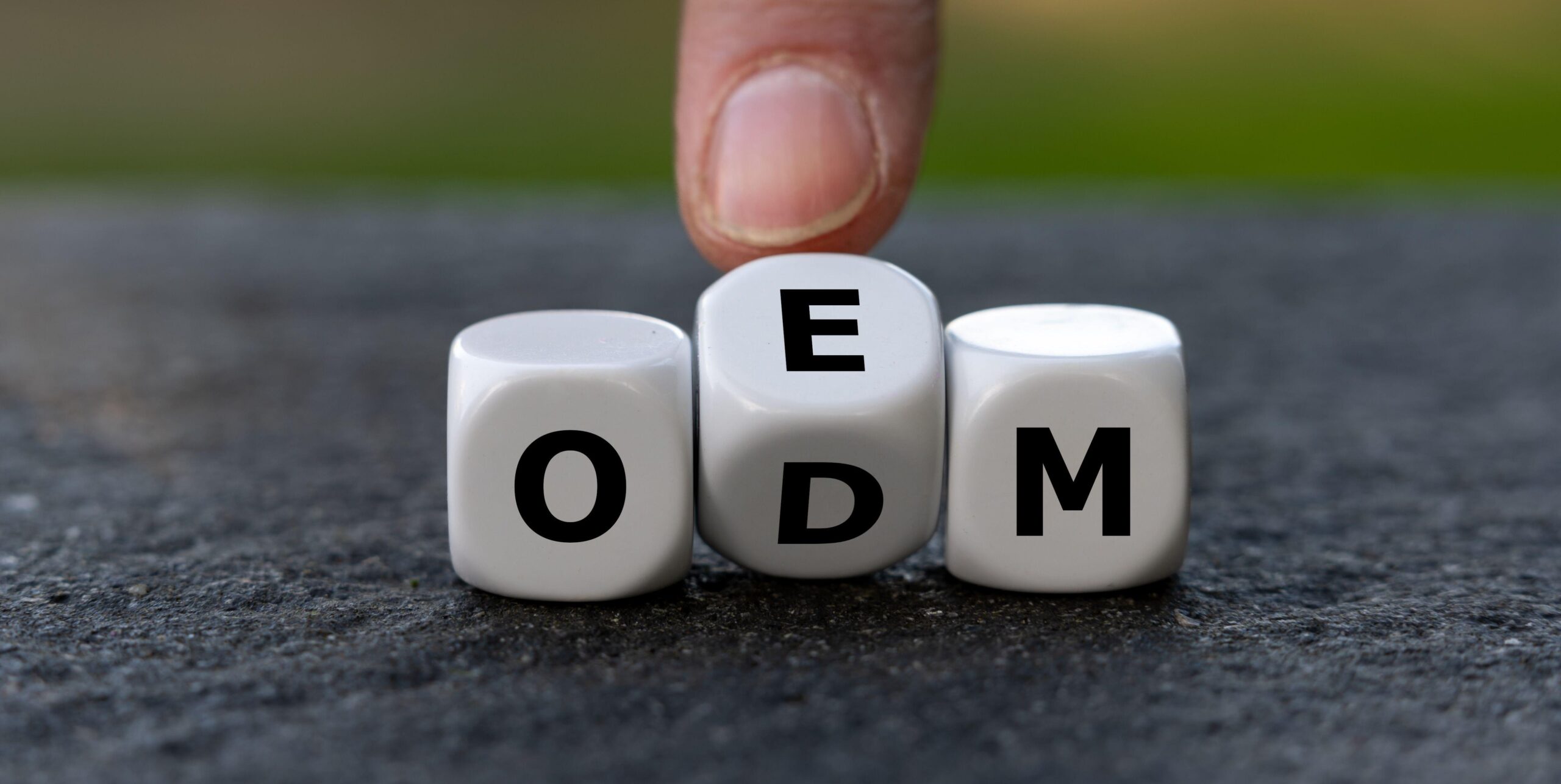 OEM/ODM Service