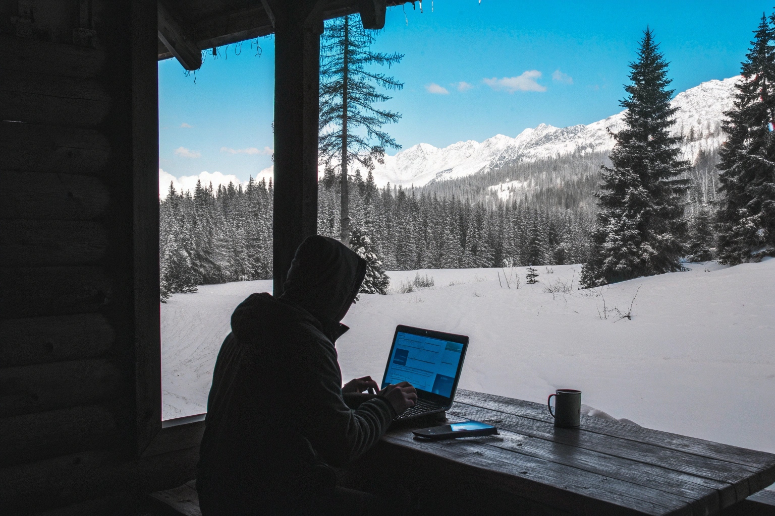 Une personne visionnant des images d'une carte SD sur un ordinateur portable dans un environnement rural