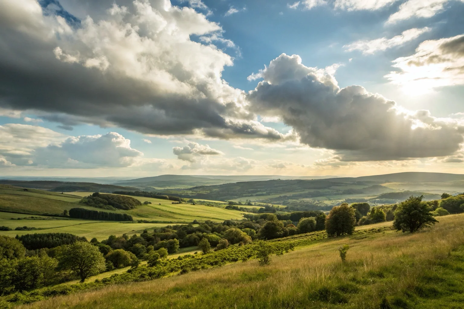 Campo visivo telecamera di sicurezza