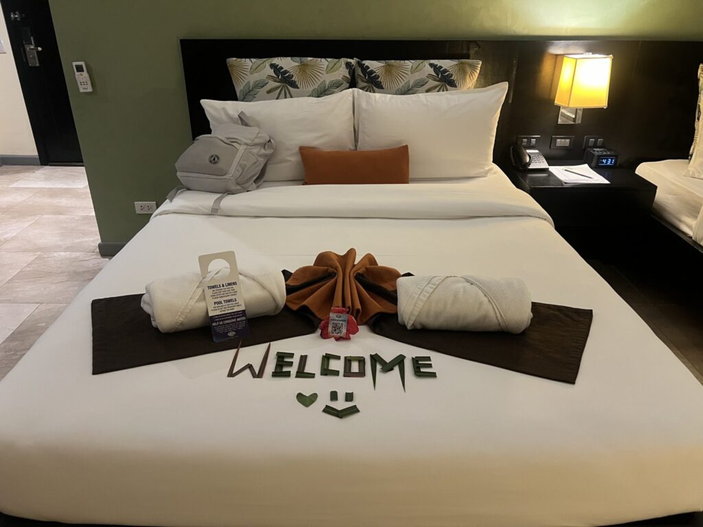 Hotel Room Sweep Kit — Standard