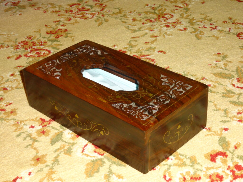 Tissue Box Camera — 1080p